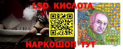СК Кимры